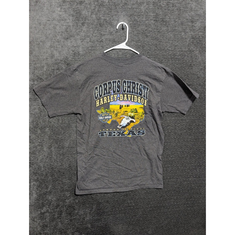 Harley Davidson Corpus Christi Texas Graphic T-Shirt Mens Large Gray 1972